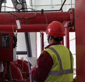 �����z�y(c��)